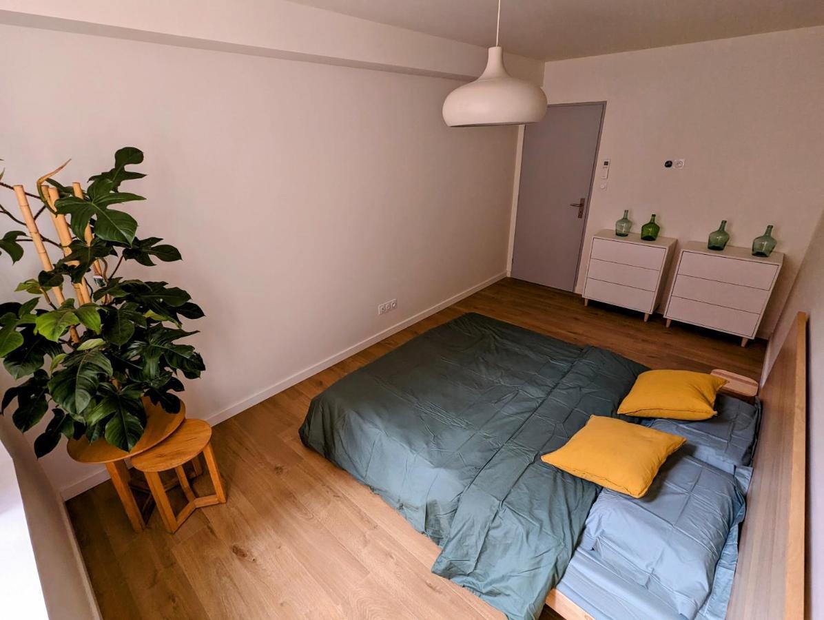 Appartement Douceur, Elegance Au Coeur D'Albi Extérieur photo