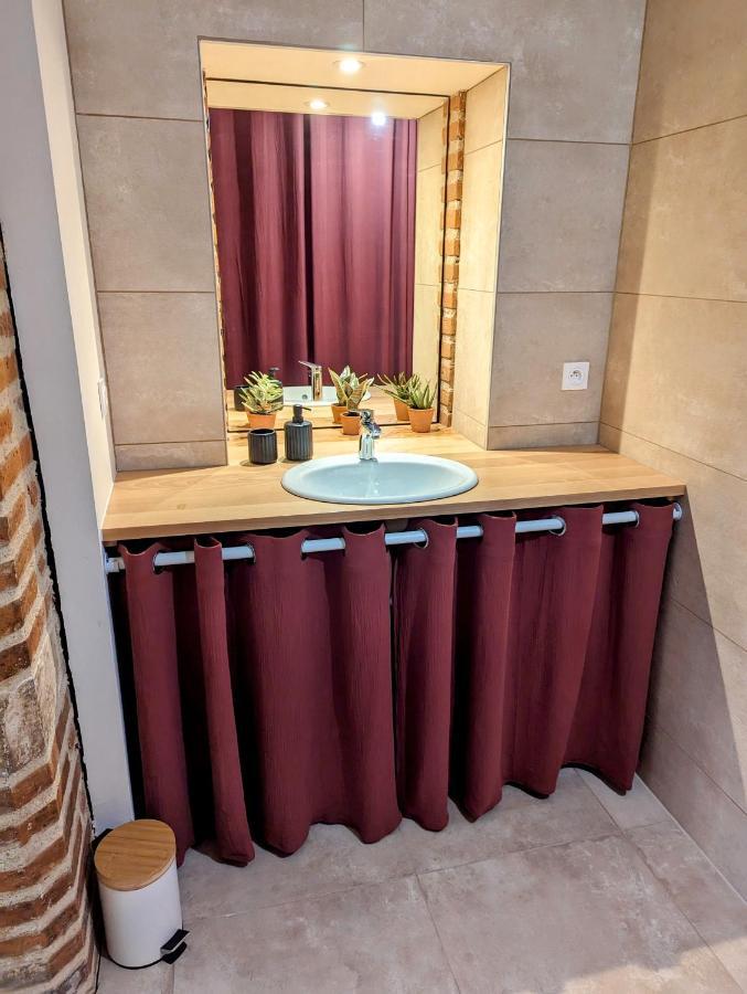 Appartement Douceur, Elegance Au Coeur D'Albi Extérieur photo